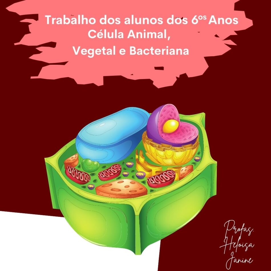 Célula Animal, Vegetal e Bacteriana