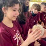 WhatsApp Image 2022-09-09 at 10.45.40 (1) WhatsApp Image 2022-09-09 at 10.45.40 (1)